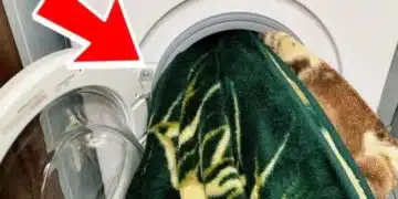 Няколко неща, които не може да слагате в пералнята 2