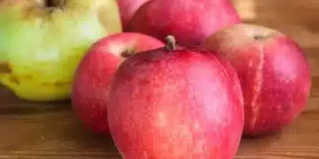 Залейте ябълковите кори с вряща вода и се отървете от един от най-досадните проблеми 10