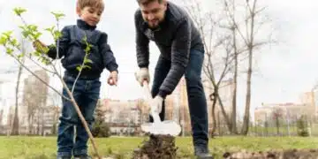 Няма да се вкорени! В коя дупка да засадите плодно дърво: точни размери за всички разсади 2