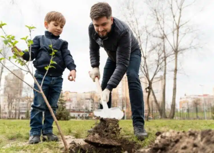Няма да се вкорени! В коя дупка да засадите плодно дърво: точни размери за всички разсади 1