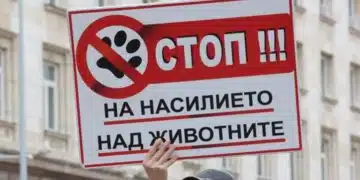 В понеделник се състоя протест срещу насилието на животни – няма кой да ги защити 2