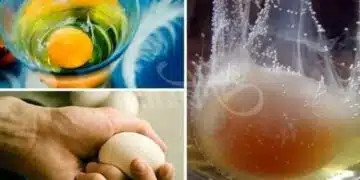 Чаша вода и сурово яйце: Метод, който ще покаже дали имате уроки 4