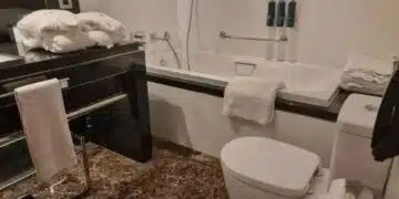 Как да направите тоалетната си винаги да мирише приятно: Без повече дифузори 12