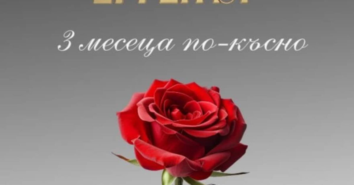 Ергенът 4 сезон, 3 месеца по-късно: Никой не взе никоя Постер на Ергенът с червена роза и текст 3 месеца по-късно.