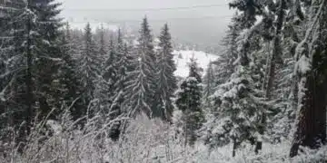 Зимата се завърна в красивите Родопи – заваля сняг, а жълт код за слана е обявен в няколко области СНИМКИ 5