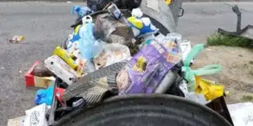 След протестите в градския транспорт, нова криза за София! Фирми заплашиха – че столицата до дни може да потъне в боклук! 2