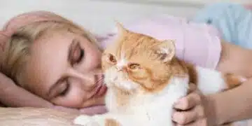 Ако котка спи близо до главата ви - очаквайте промени в живота: какво означава този животински навик 10