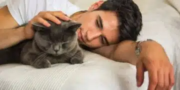 4 неща, които котките вземат предвид, когато избират любимия си човек 9
