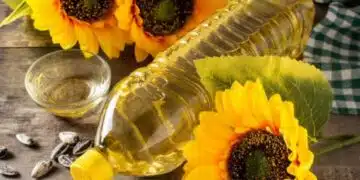 Какво се случва с цената на олиото, предстои ли поскъпване? 1