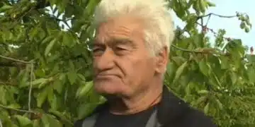 Роден производител отсече: У нас е нормално черешите да струват 50 – 60 лева за един килограм 3
