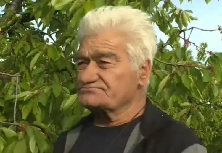 Роден производител отсече: У нас е нормално черешите да струват 50 – 60 лева за един килограм 1