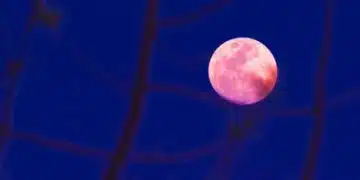 Лунен хороскоп за 9 ноември 8