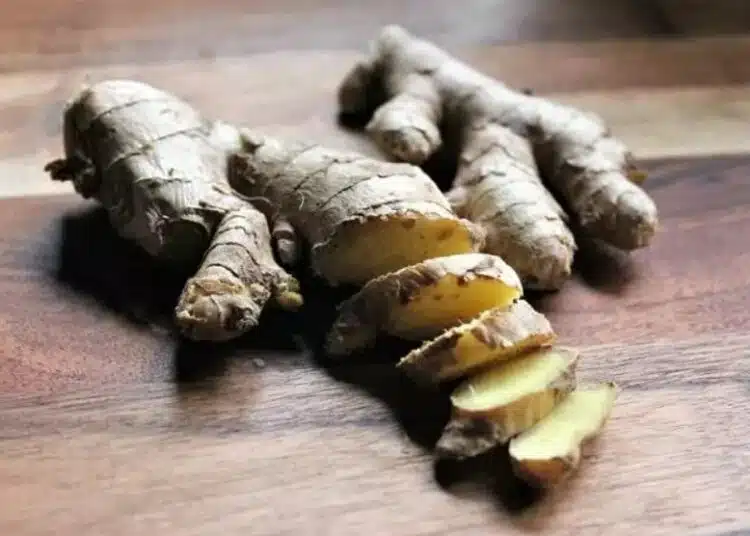 Домашна лимонада с джинджифил: Освежаваща рецепта с уникален вкус 1