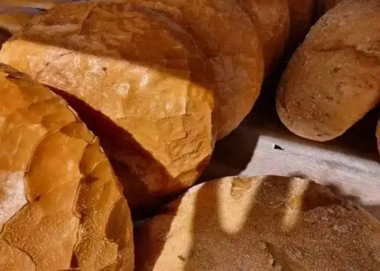 Не можете да ядете тези продукти с хляб: Те тихо съсипват здравето ви всеки ден 1