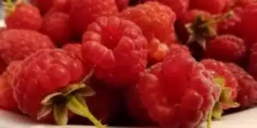 Назовани са прости храни, които пречистват кръвта от токсини 4