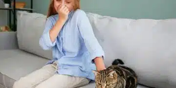 Как да премахнете миризмата на котешка урина завинаги от дома си - съвети, които работят 1