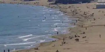 Доктор каза часовете, в които трябва да сме на плажа: сутрин до 11:00 часа, следобед след 16:00 часа 1