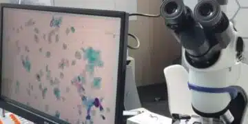 Учени са назовали достъпен плод, който намалява риска от развитие на шест вида рак: Важно за здравето! 8