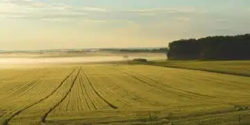 У нас - нивите ще се отчуждават по нови цени и правила 5