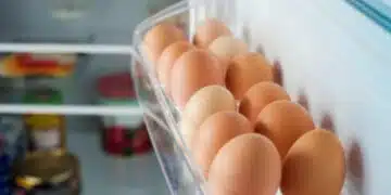 Данните сочат, че яйцата поскъпват - очаква се през следващите месеци цените да останат сравнително високи 12