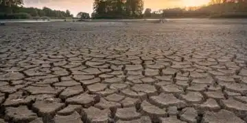 Заради сушата в Европа има тревожни прогнози за производството, какво се знае 1