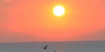 При температури над 30 градуса расте и рискът от трудови злополуки 4