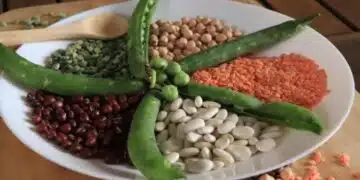 Лятото е тук – даваме идеи за вкусни алтернативи на месото 3