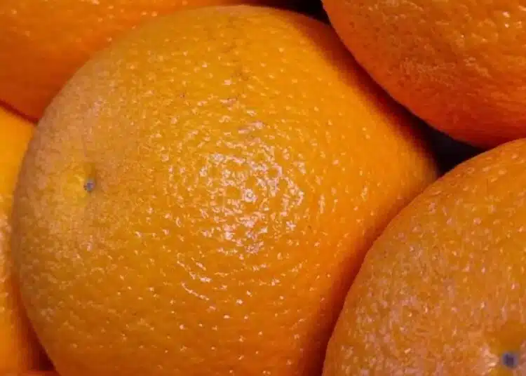 Зрение като на орел! 12 продукта, които ще спасят очите ви 1