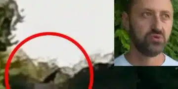 Заради черната пантера – ресторантьори от Шуменското плато настояват да им бъдат изплатени компенсации 2