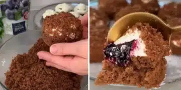 Кремообразни десертчета със сладко и шоколадов пандишпан, вкусът е неописуем, свършват за секунди 11