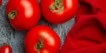 Лятна суперхрана: 7 причини да ядете домати 3