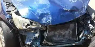 Черен понеделник! Тази сутрин мъж загина в катастрофа край Плевен 10
