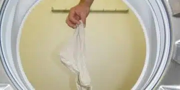 Защо дрехите миришат на мухъл след пране? Не забравяйте да направите това и вашата пералня ще изпълнява функциите си перфектно 2