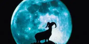 Зов на Козята Луна: Как да уловим енергията на пълнолунието през юли 2025 г. 1