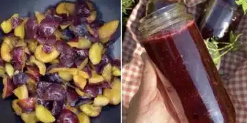 Ароматно сладко от сливи в тиган: бърза рецепта без затруднения 8
