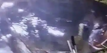 В огромната жега, роден рибар успя да извади гигантски хищник, каза и на какво лови винаги 1