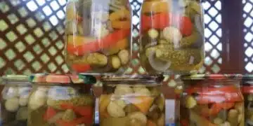 Асортимент от зеленчуци за зимата: тази салата ще стане вашата любима 4