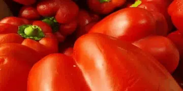 Какво да приготвим със сезонната реколта на масата: Хрупкава салата с тиквички, домати и чушки 14