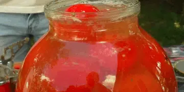 Мариновани домати за зимата без оцет: доказана бабина рецепта, която ги прави хрупкави и ароматни! 5