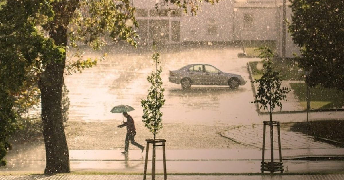 Преди края на август – дъжд, а от 3 септември може да помислим да извадим дъждобраните под ръка Човек с чадър върви по мокра улица по време на силен дъжд.