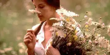 Есенно сияние на Скорпион, Лъв и Стрелец: Време за големи промени 14