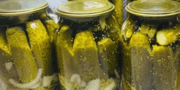 Хрупкави краставици за зимата: вкусна и проста рецепта. Бърза и без стерилизация 12