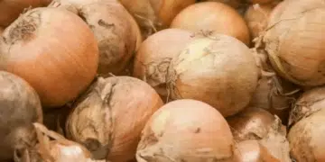 Как да постигнете перфектно карамелизиран лук: Тайната на наситения вкус без горчивина 14
