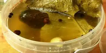 Ароматни кисели краставички за зимата. Хрупкави като бъчви краставици: рецепта без оцет и захар 1