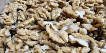 Орехи: Какви са ползите, какви са вредите и как да не прекаляваме, за да не качим килограми 4