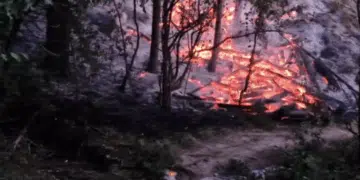 Сериозният пожар в Шумен подпален от деца с пиратки 6