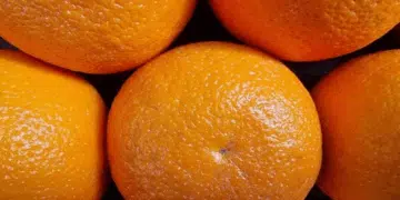 Защо трябва да държите сушени портокалови кори в гардероба си: 5 причини 5