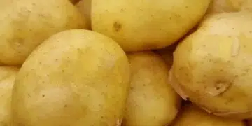 Как да изпържите картофи без да залепнат: Леденият трик, който ще промени живота ви 1