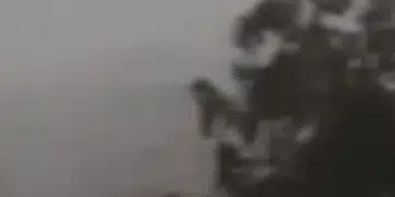 Времето днес у нас ще бъде ветровито, по планините се очаква - сняг 3