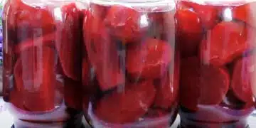 Мариновано цвекло за зимата - стъпка по стъпка как да приготвим 11